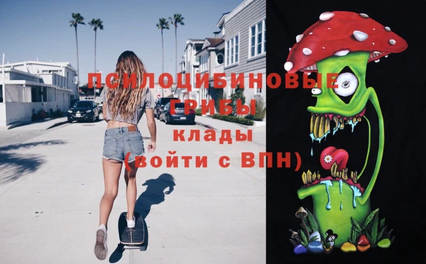 дурь Володарск
