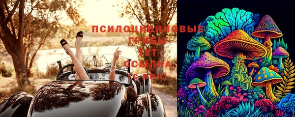 дурь Володарск