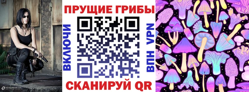 Псилоцибиновые грибы Psilocybe  Купить  Краснотурьинск 